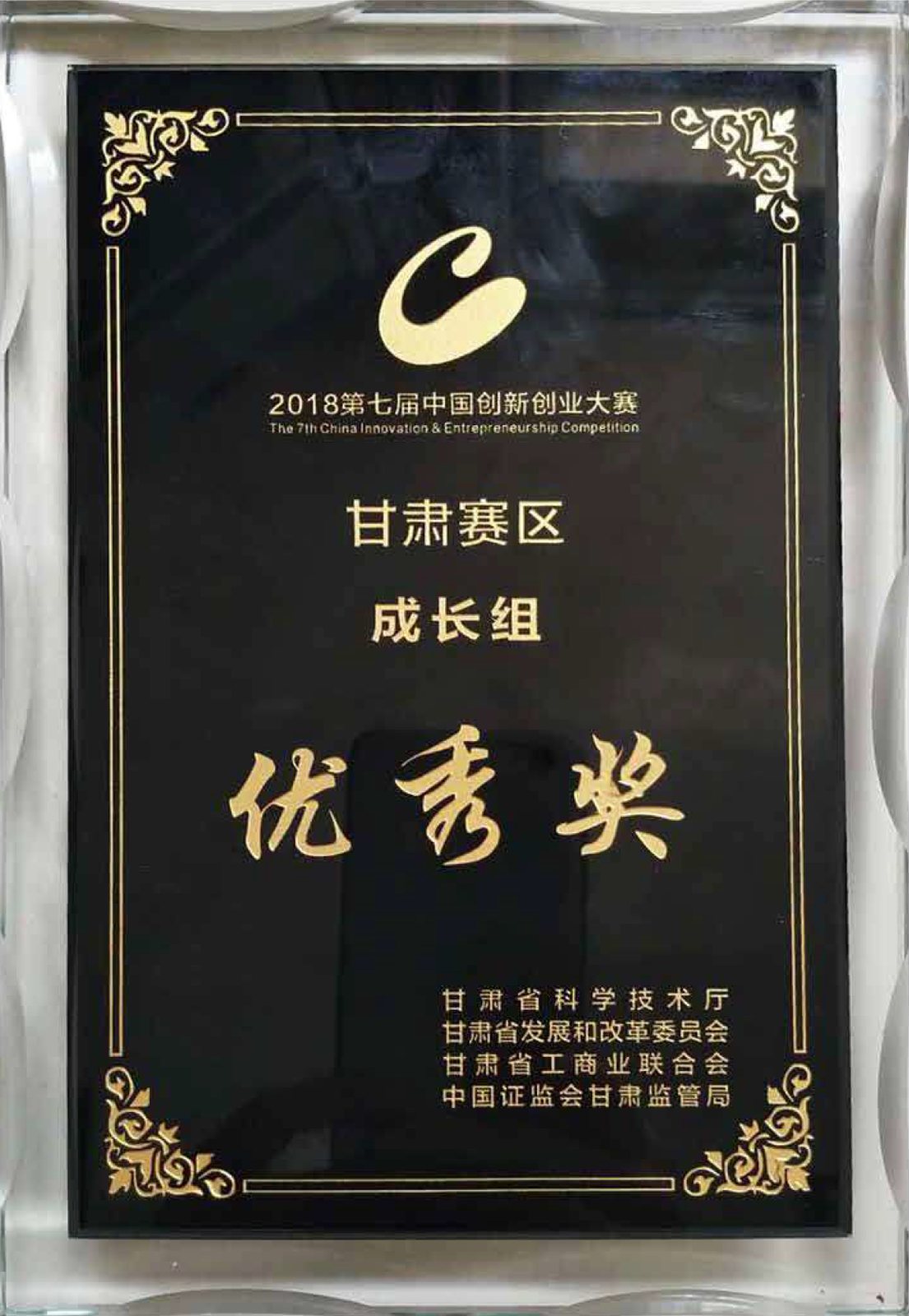 第七届中国创新创业大赛甘肃赛区成长组优秀奖